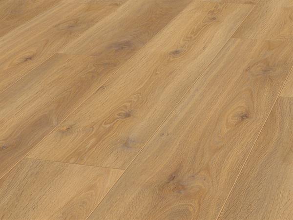 Laminat Jangal 8103 Nairobi Oak National Park Line Ultimate 8mm