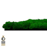 Wandpaneel Jangal Modular Wall 11100 Nature Green Moos 52 x 52 cm