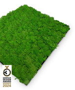Wandpaneel Jangal Modular Wall 11101 Rich Green Moos 52 x 52 cm