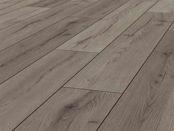 Laminat Jangal 8054 Grey Oak National Park Line Plus 8mm