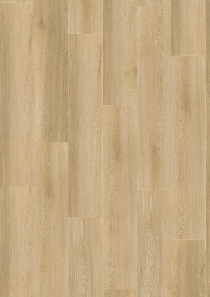 Click-Vinyl CHECK One 2472 Morbach Eiche inkl. Trittschall Standard Breit