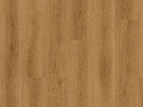 Click-Vinyl CHECK comfort 2511 Albera Lang- und Breitdiele inkl. Trittschall (Kork)